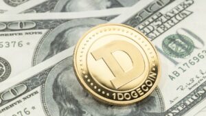Read more about the article Will Dogecoins Succeed